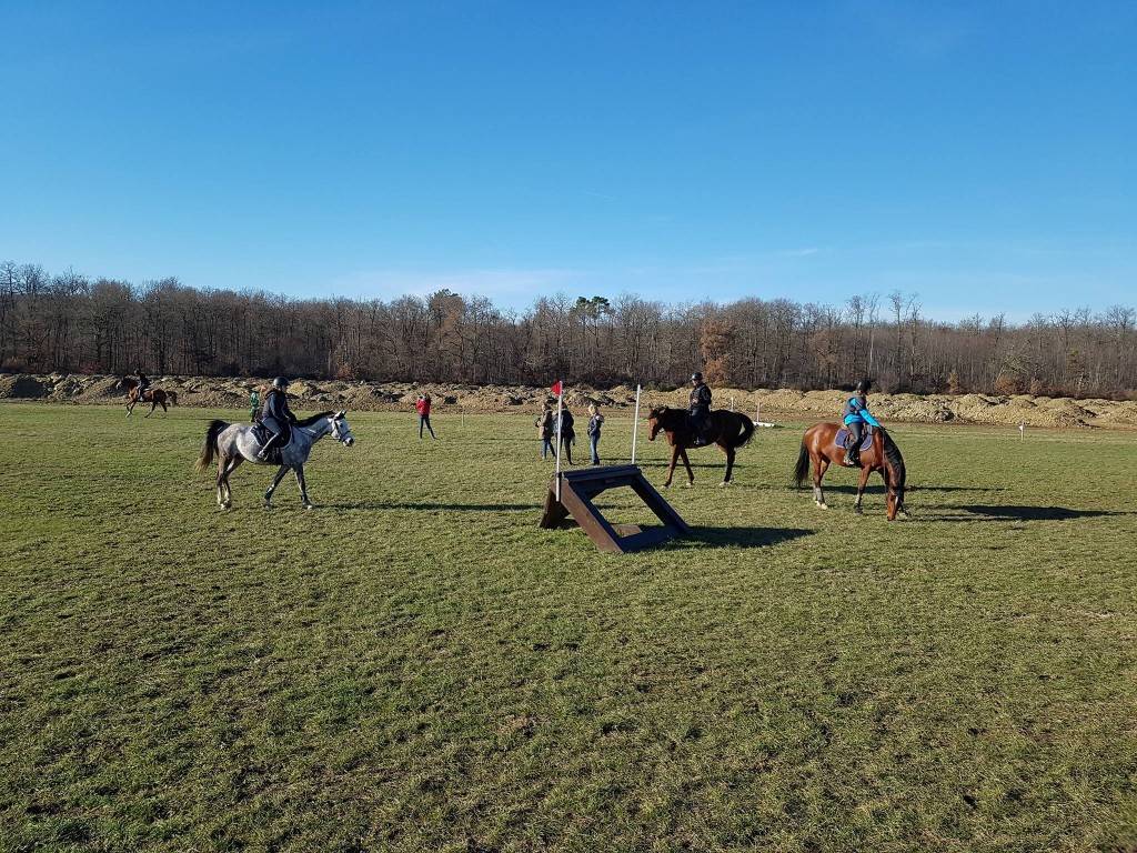 15800115_397049680635415_538283408540298581_o