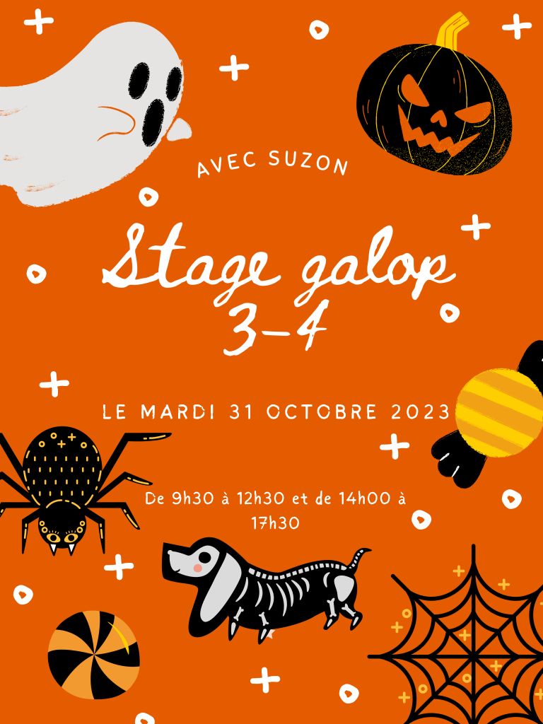 Galop 3-4