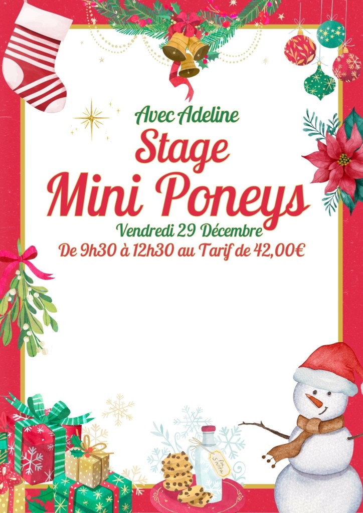Mini Poneys