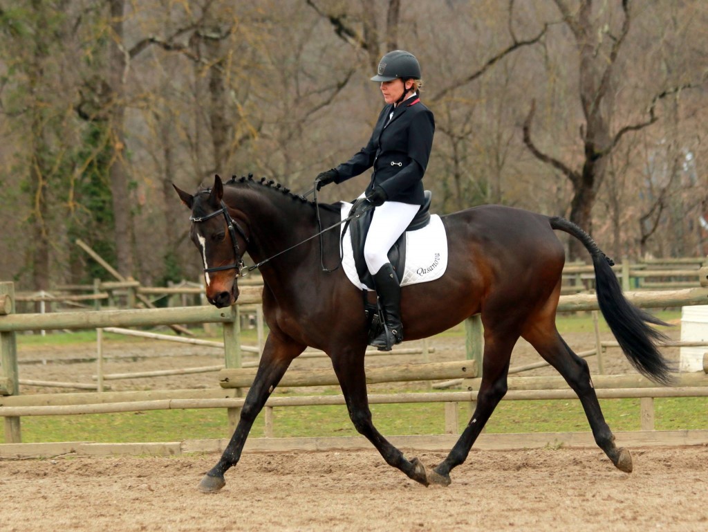 anne laurence et qasanova