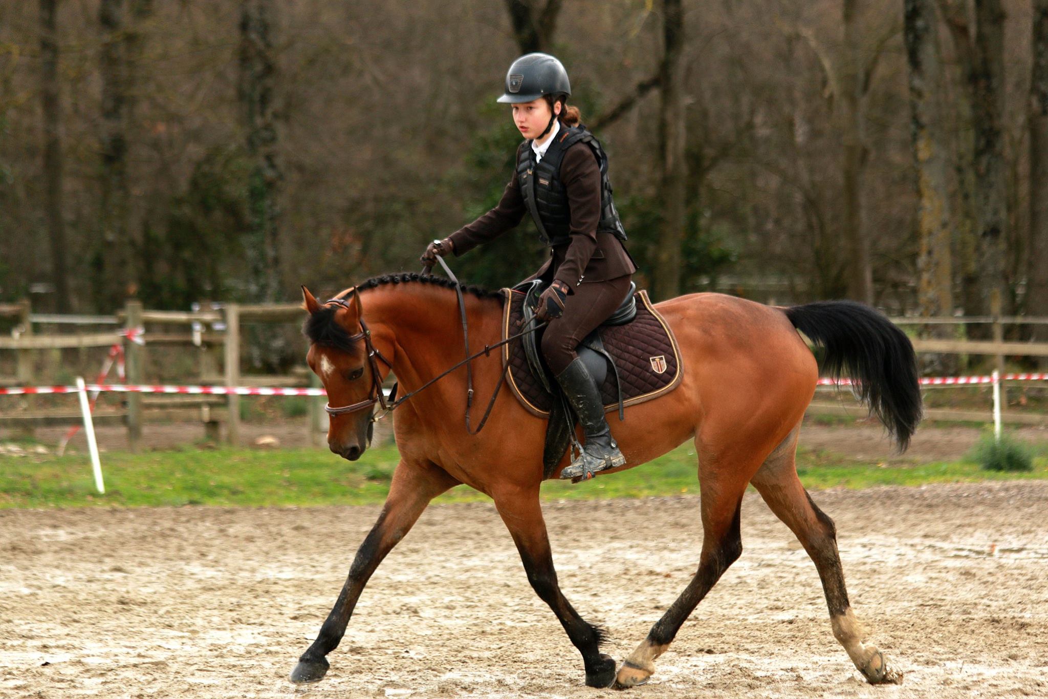 12783800_740692909401348_5496127543692435262_o