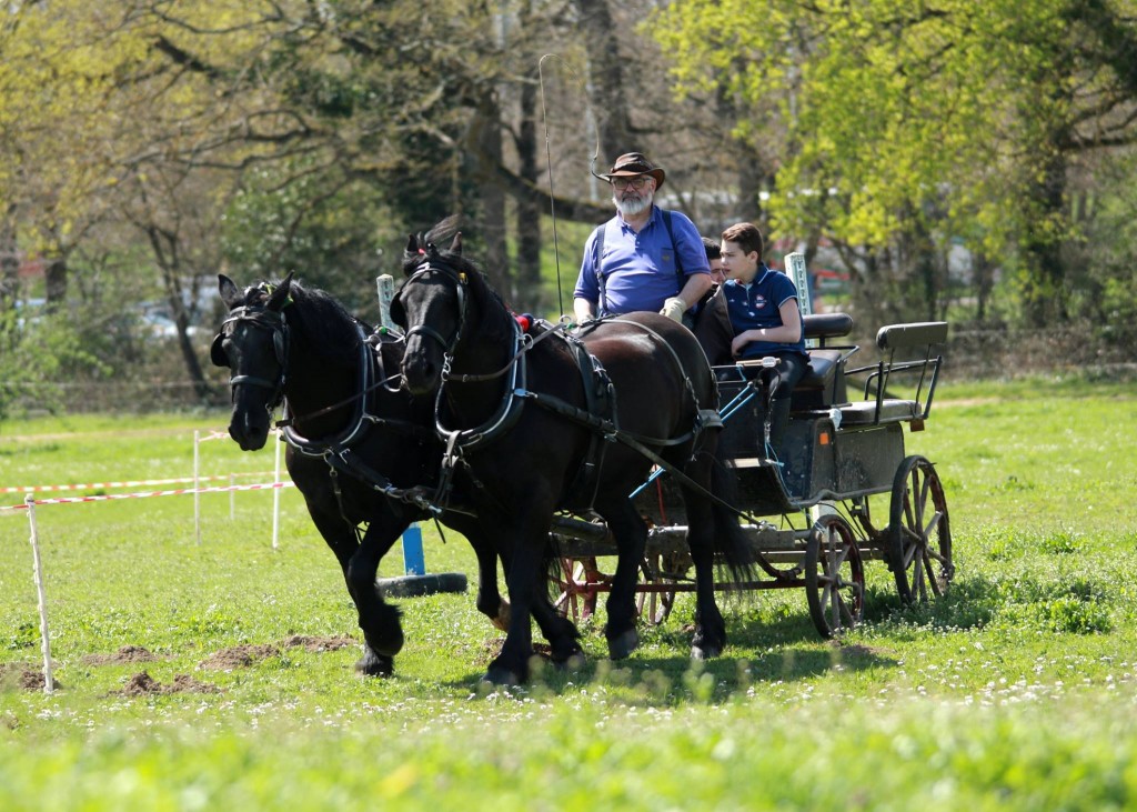 12967319_761793210624651_4159396481629164673_o