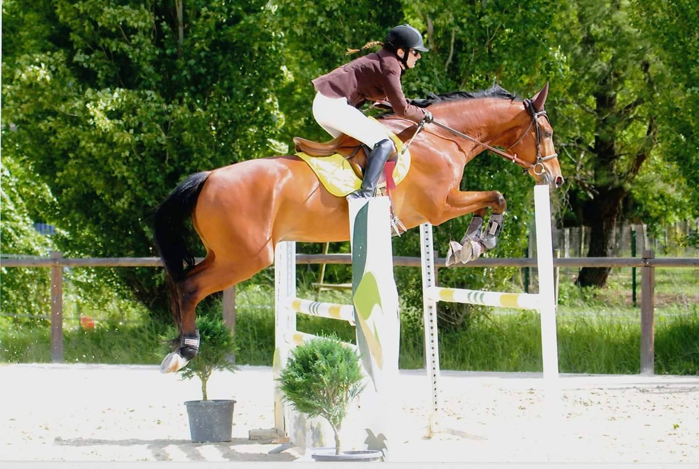 13173366_276522112688173_193371923778408390_o