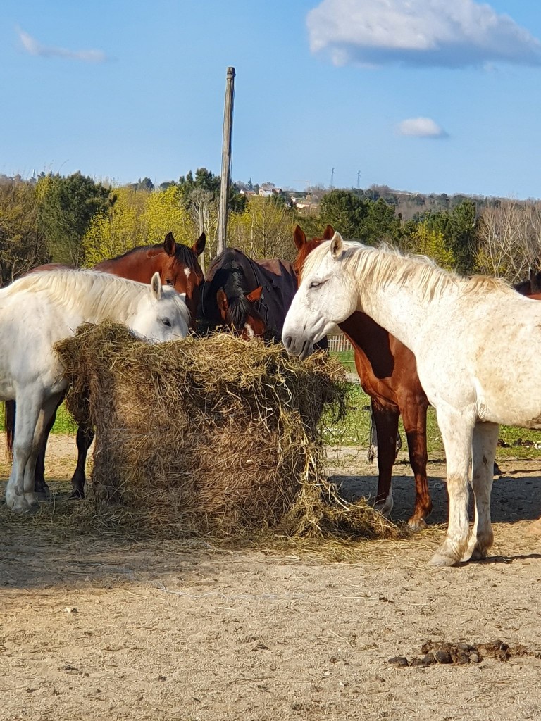 Petite pause pour manger
